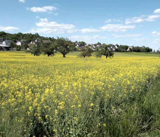 Thüringer weiden