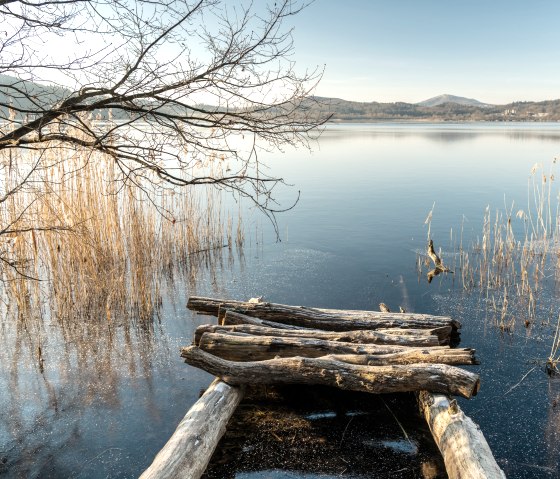 View on the shore of Lake Laach, Pellenzer Seepfad hiking trail, © Eifel Tourismus GmbH, D. Ketz