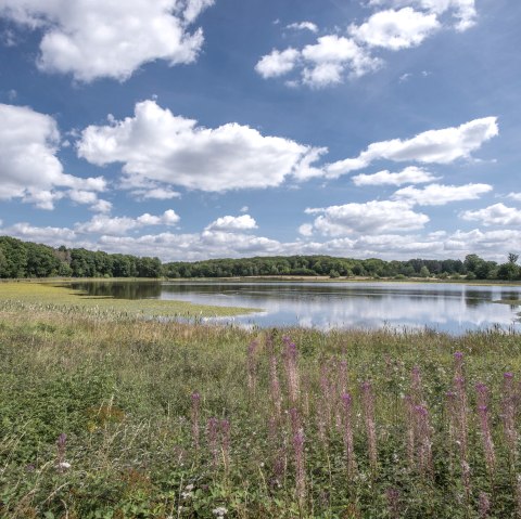 Osteifelweg Etappe Engeln nach Bad Neuenahr, &copy; Vulkanregion Laacher See, Kappest