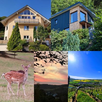 Eine malerische Landschaft mit einem modernen Haus, einem Reh im Vordergrund und einem wunderschönen Sonnenuntergang. Die Umgebung umfasst Weinberge und eine grüne Naturkulisse.