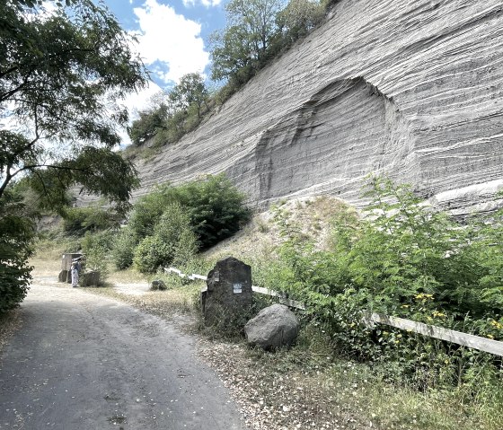 Landschaftsdenkmal "Wingertsbergwand", &copy; Kappest/Vulkanpark GmbH