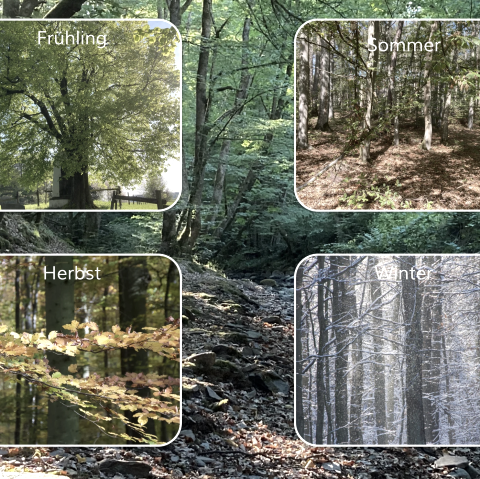 Jahreszeiten, &copy; M. Schmitz