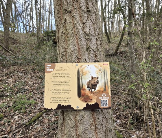 Infotafeln, &copy; Julia Lichter