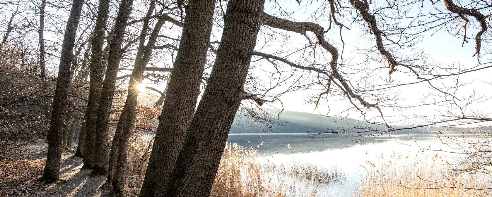 Atmospheric moments at Lake Laach, © Eifel Tourismus GmbH, D. Ketz