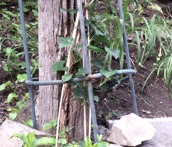 Ferienhaus Au&szlig;en 676