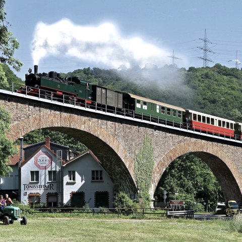 Dampflok auf Viadukt, &copy; Walter Br&uuml;ck