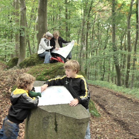 Mauerley 2, © H.J. Vollrath