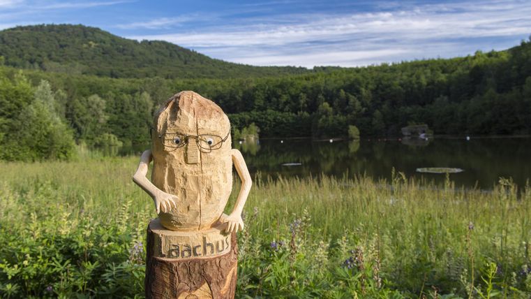 A wooden sculpture with a cheerful face stands in front of a picturesque lake and green hills. The sky is clear and the landscape is lush and inviting.