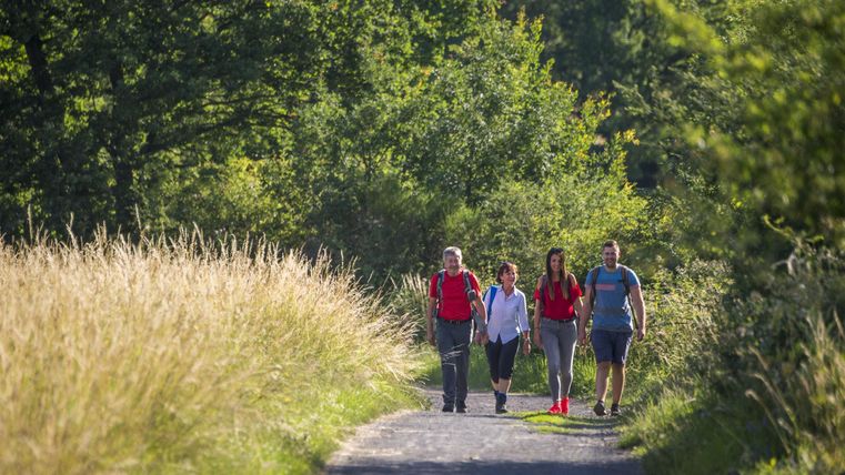 A group of four people is walking along a path, surrounded by green trees and tall grasses. It is a sunny day, and the atmosphere is friendly and relaxed.