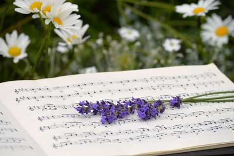 An open notebook with musical notes lies on a surface. A lavender sprig is placed on it, and in the background, some white daisies are blooming.
