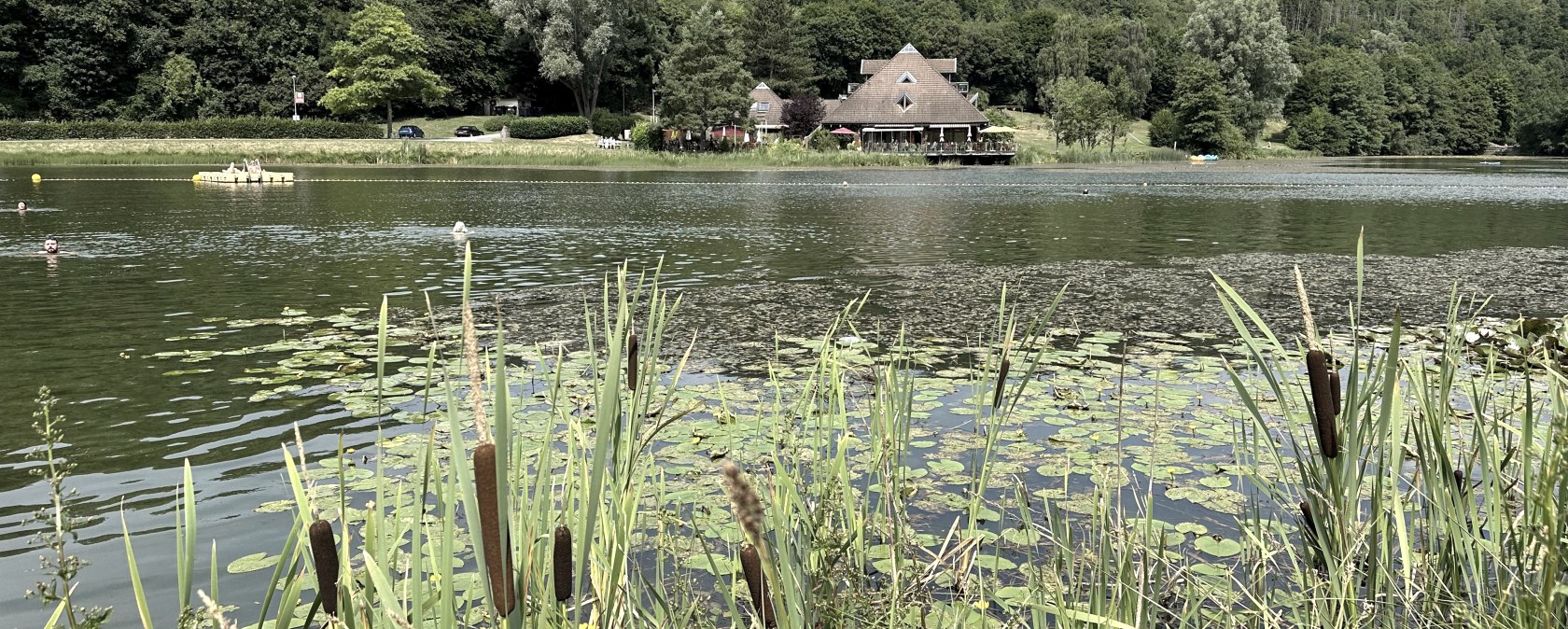 Lac de for&ecirc;t de Rieden avec cabane de lac, &copy; Eifel Tourismus