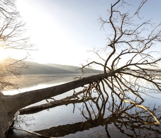 Mystische Stimmung, Sonnenaufgang am Laacher See, &copy; Eifel Tourismus GmbH, D. Ketz
