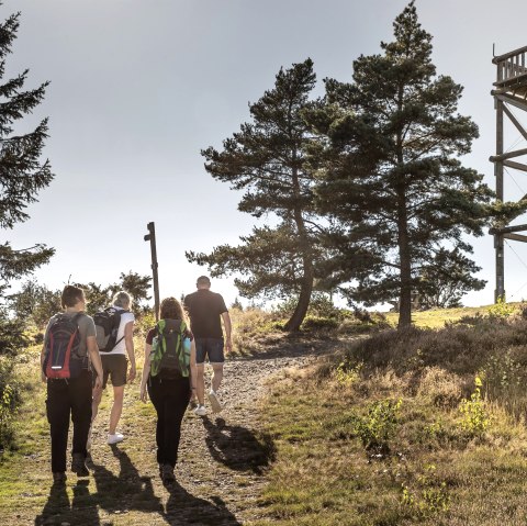 Weiselstein, &copy; Vulkanregion Laacher See