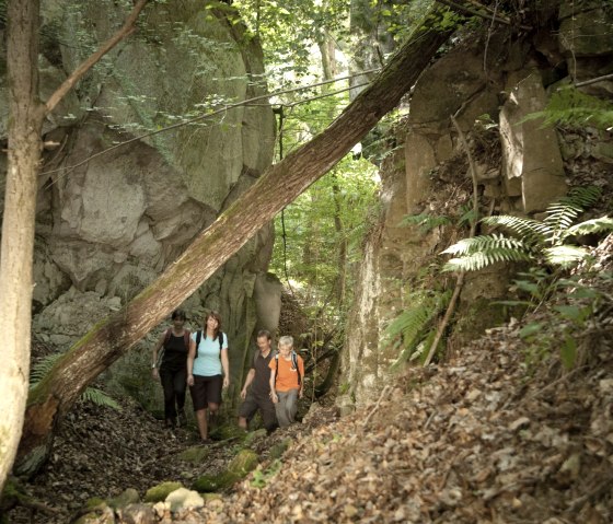 Vier Wanderer gehen durch einen bewaldeten, felsigen Pfad. Ein umgestürzter Baum liegt quer über dem Weg. Die Umgebung ist grün und dicht bewachsen., © Traumpfade