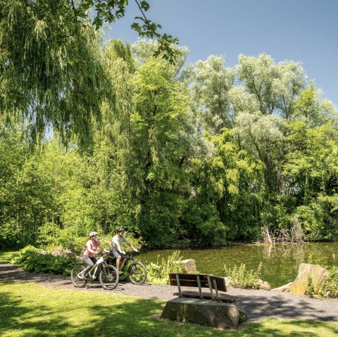 Teich im Nettepark, © Eifel Tourismus GmbH/Dominik Ketz