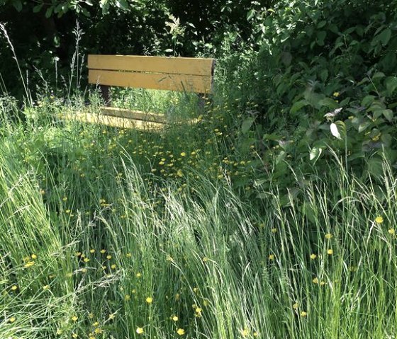 Ferienhaus Au&szlig;en 116