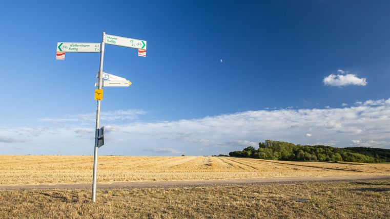 Ein Wegweiser steht auf einem Feld unter einem blauen Himmel. Im Hintergrund sind Weizenfelder und ein Baum sichtbar.