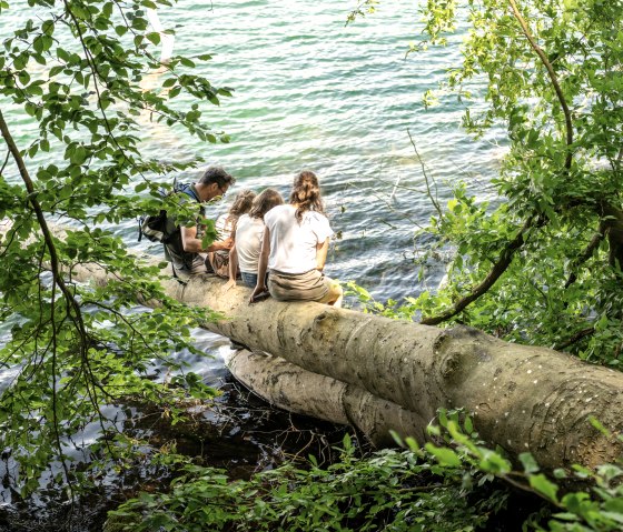 Time-out aan de oevers van het meer van Laach, © Eifel Tourismus GmbH, Dominik Ketz