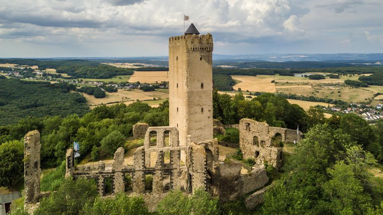 Eine malerische Burgruine auf einem Hügel, umgeben von Bäumen und grünen Feldern. Der Himmel ist bewölkt, und die Landschaft erstreckt sich weit im Hintergrund.
