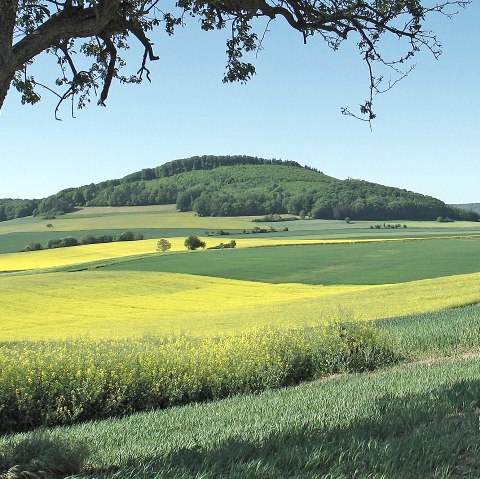 Laachus trifft Basalthasar, &copy; Walter M&uuml;ller