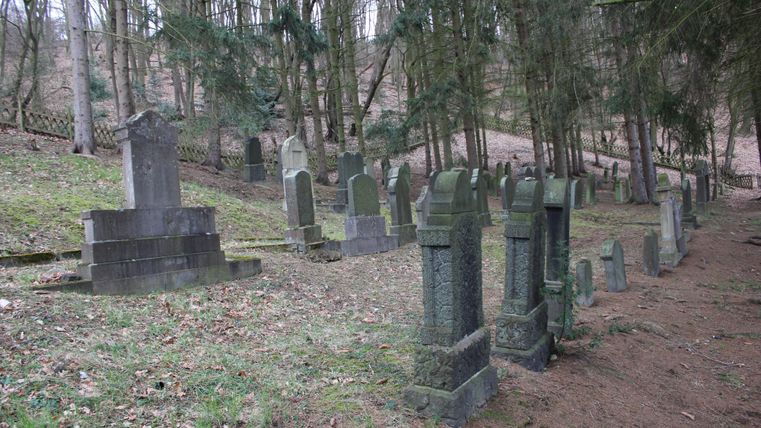 Ein alter Friedhof mit mehreren Grabsteinen in einem bewaldeten Gebiet. Der Boden ist mit Laub bedeckt und die Bäume spenden Schatten.