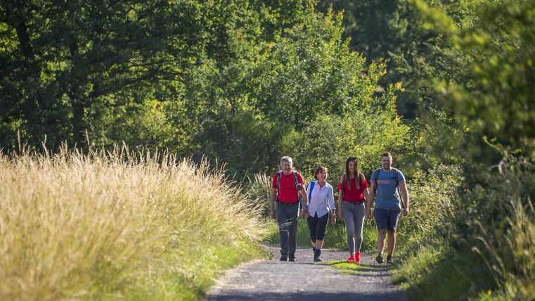 Eine Gruppe von vier Wanderern geht einen schmalen Weg entlang, umgeben von grünen Bäumen und hohem Gras. Es ist ein sonniger Tag, ideal für Outdoor-Aktivitäten.