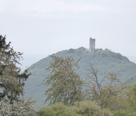eroeffnung-4-doerfer-weg-spessart-1, &copy; VG Brohltal