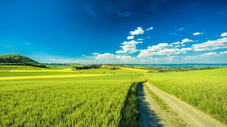 A tranquil landscape with green fields and a clear blue sky. A narrow path winds through the area.