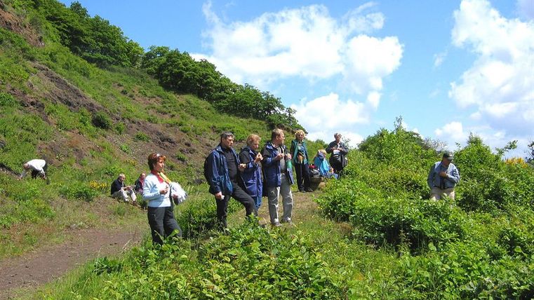 Eine Gruppe von Menschen wandert auf einem malerischen Weg in der Natur. Im Hintergrund sind grüne Hügel und ein klarer blauer Himmel zu sehen.