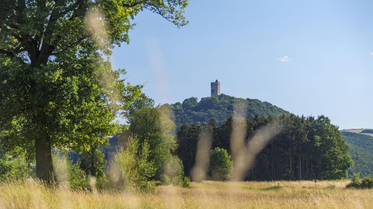 Eine malerische Landschaft mit einem hohen Turm auf einem Hügel. Im Vordergrund ist hohes Gras und Bäume sichtbar.
