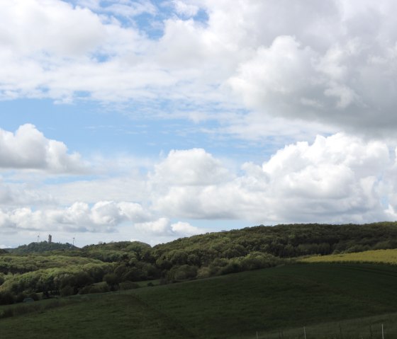 Blick auf Burg Olbrueck, &copy; VG Brohltal / Schote