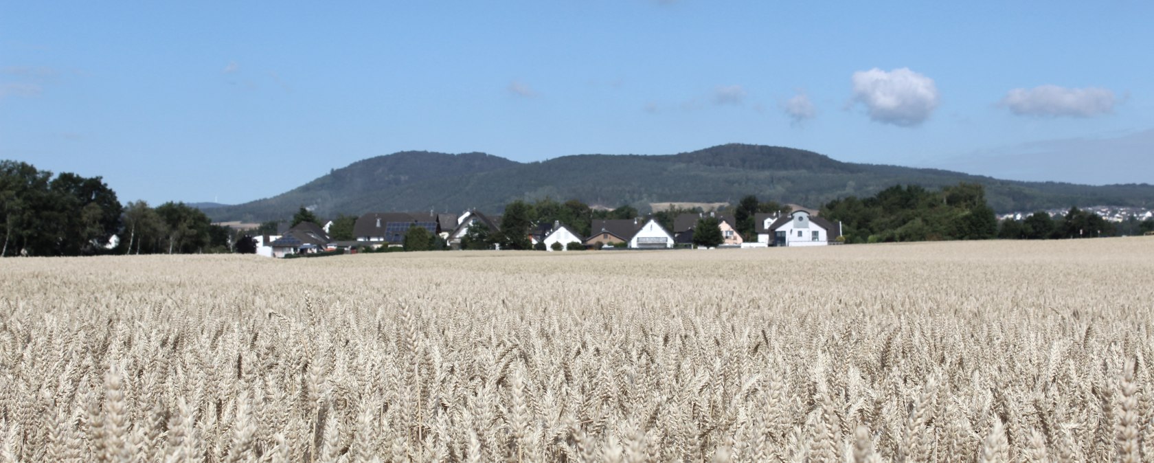 Tarwevelden, © VG Pellenz/Manea