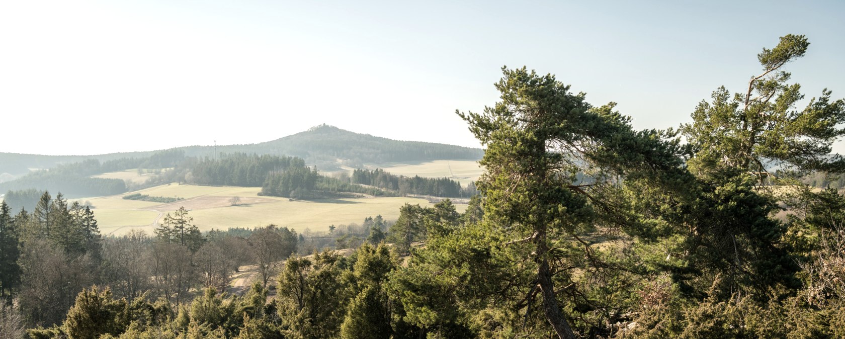 Uitzicht op de Eifel en jeneverbessen op het droompad Bergheidenweg, © Eifel Tourismus GmbH, D. Ketz