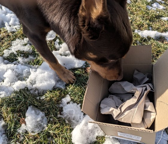 Adventsabenteuer 4, &copy; Maren D&ouml;nhoff