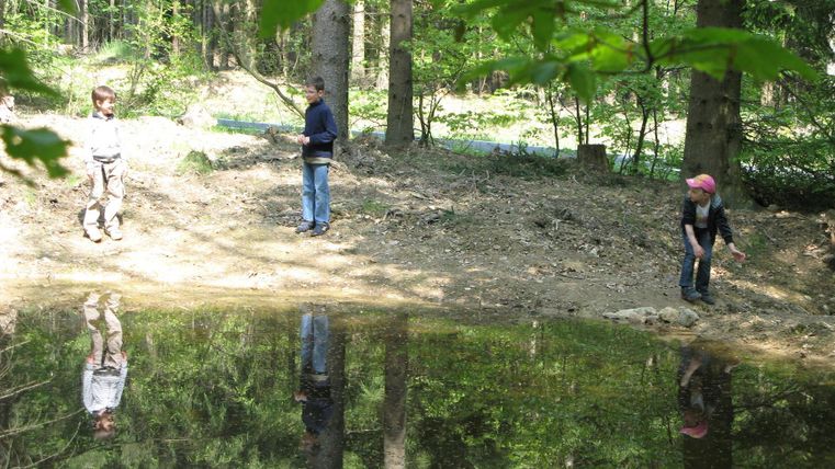 Ein ruhiger Wald mit Kindern, die am Ufer eines kleinen Teiches spielen. Das Wasser spiegelt die Bäume und die Umgebung wider.
