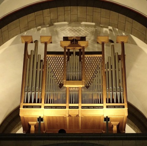 Organ, © Gereon Krahforst