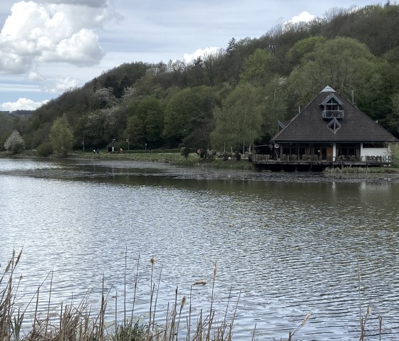 Riedener Waldsee, &copy; Christof B&uuml;rger