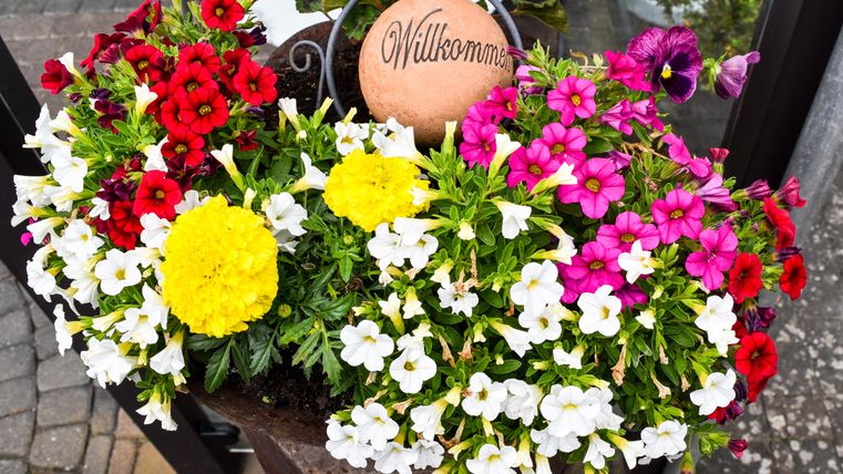 Bunte Blumen in einem Pflanzgefäß, eingebettet in frisches Grün. Eine Willkommensschild ergänzt die blühende Dekoration.