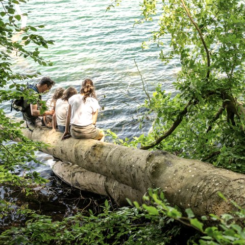 Relaxen am Laacher See, &copy; Eifel Tourismus GmbH, Dominik Ketz