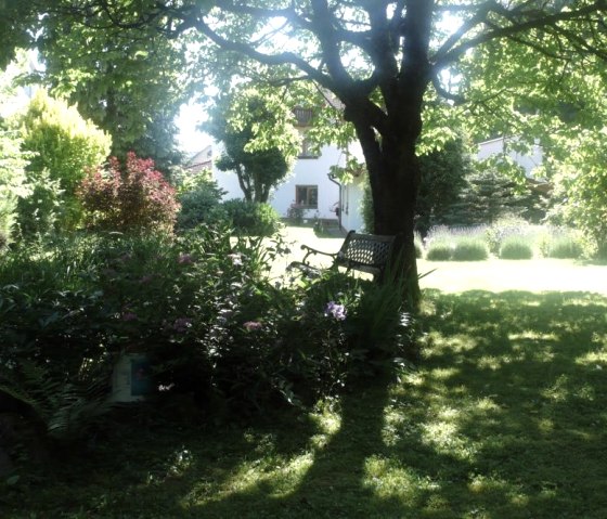 jardin_en_été