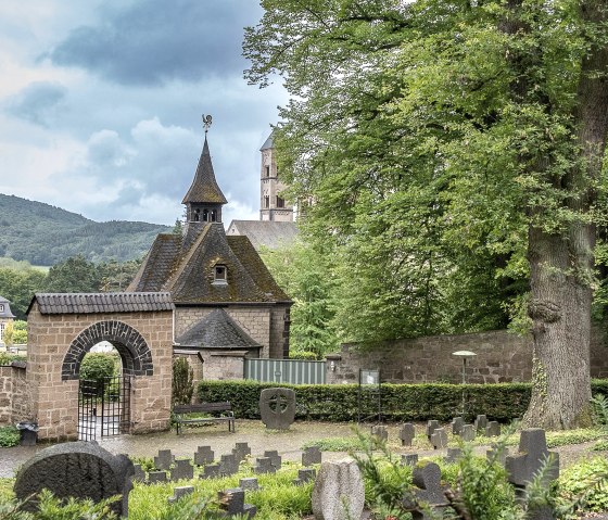 Waldfriedhof, © Walter Müller