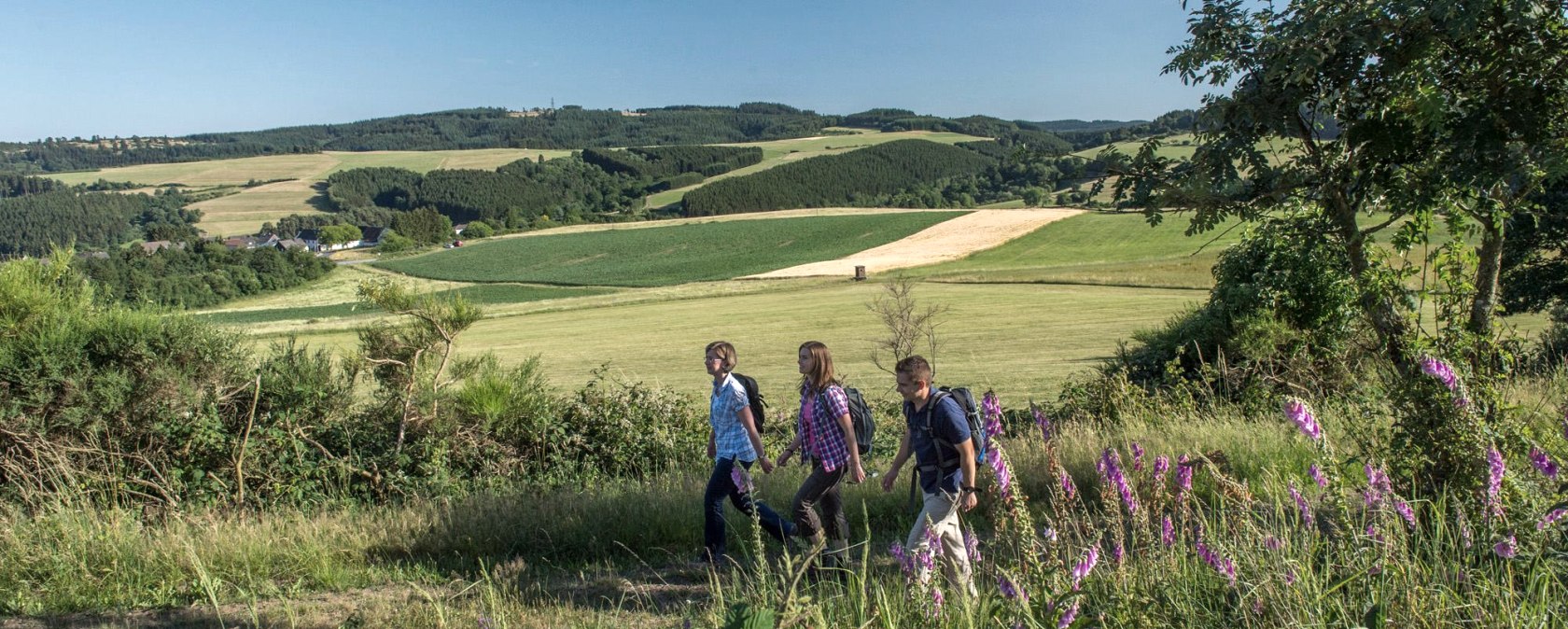 wanderidylle-bei-hohenleimbach, &copy; Kappest_VG_Adenau
