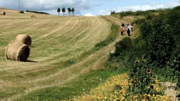 Vinxtbachtal, &copy; TI Vulkanregion Laacher See