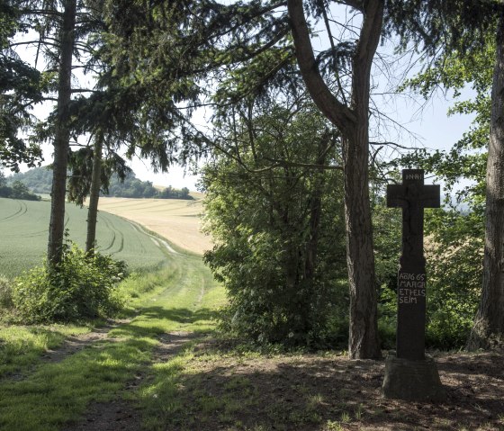 Weg naar de bedevaartskerk van Fraukirch, &copy; Kappest/Vulkanregion Laacher See