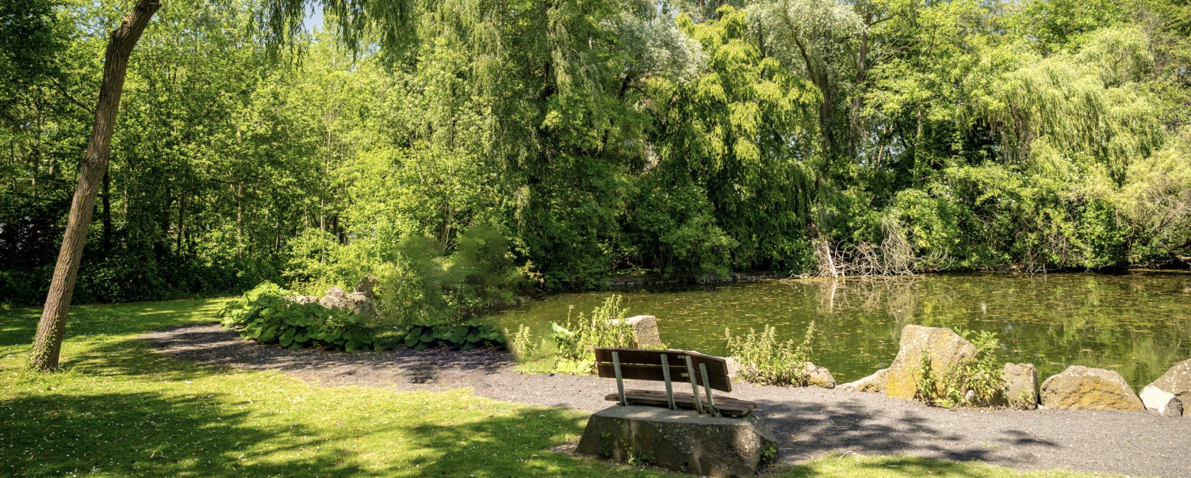Eendenvijver in het Nettepark, © Eifel Tourismus GmbH, Dominik Ketz