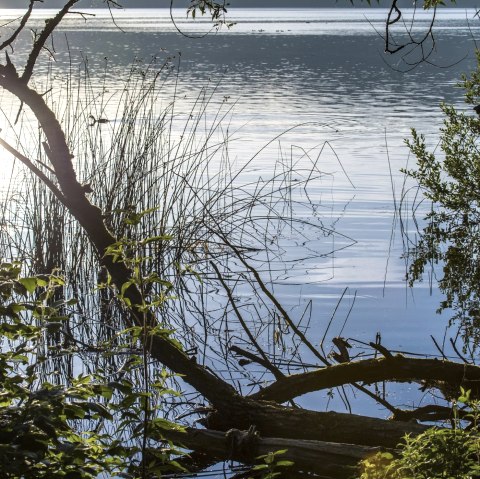 Laacher See, © Kappest/Vulkanregion Laccher See