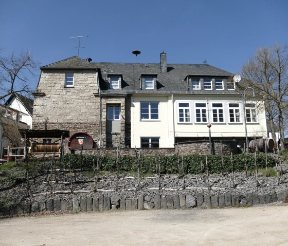 Alter Weinberg Oberzissen, &copy; Christof B&uuml;rger