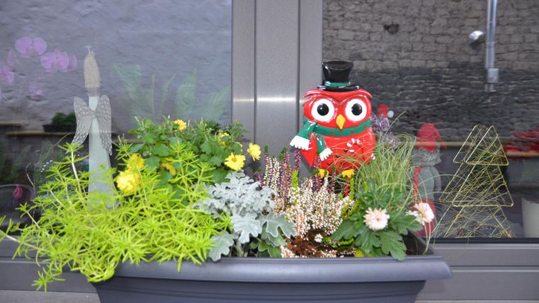 Ein bunter Blumenkasten mit verschiedenen Pflanzen und einer dekorativen Eule. Die Eule trägt einen Zylinder und ist ein fröhlicher Blickfang.