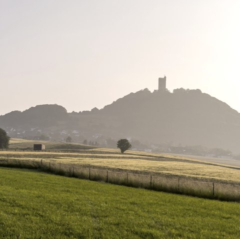 Osteifelweg Oberzissen nach Bad Neuenahr, &copy; Vulkanregion Laacher See, Kappest
