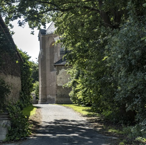 Cache Laachus zwischen Wiesen und Fraukirch, &copy; Kappest/Vulkanregion Laacher See
